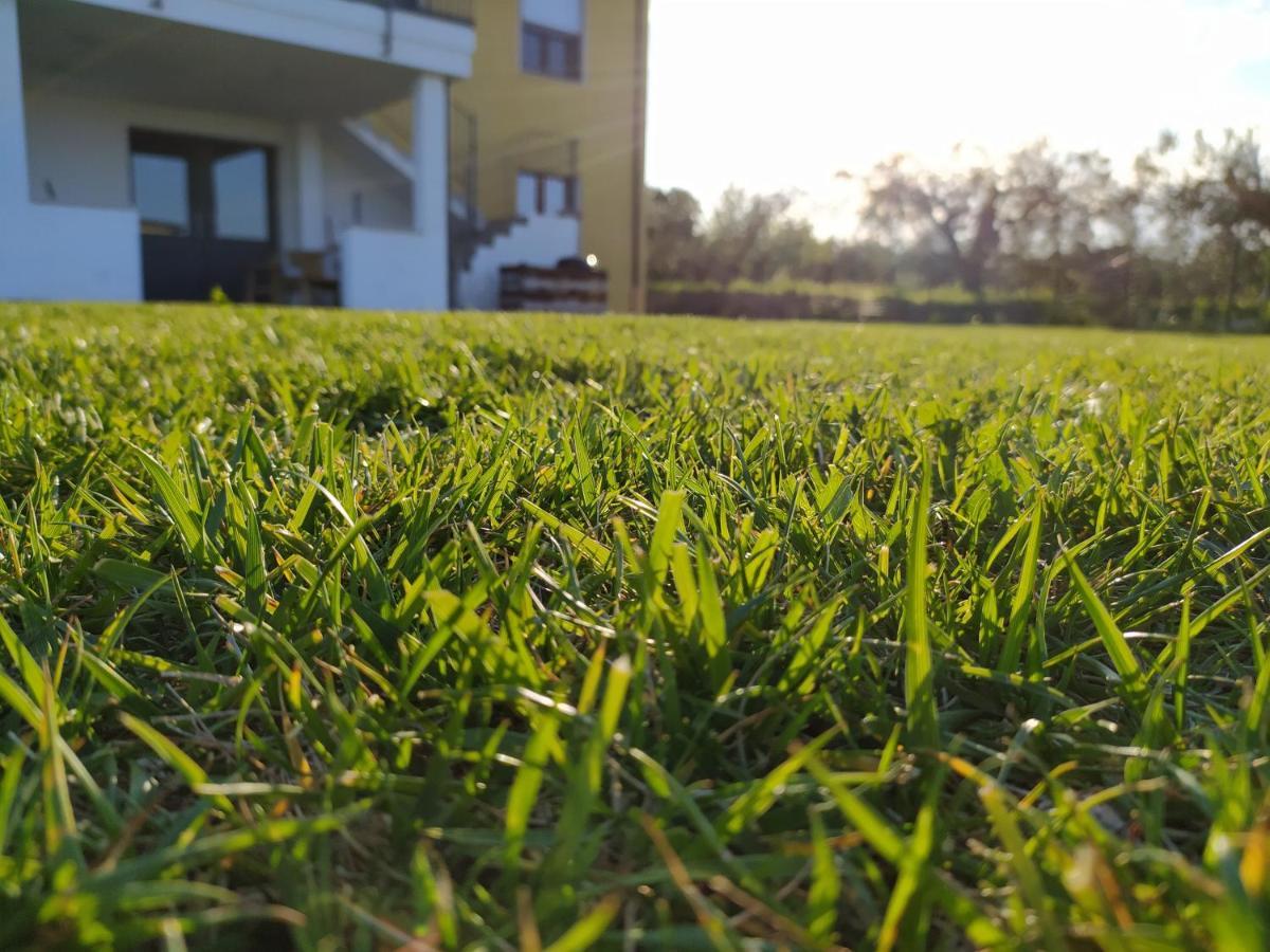 Natura E Mente Camere E Relax 瓦斯托 外观 照片
